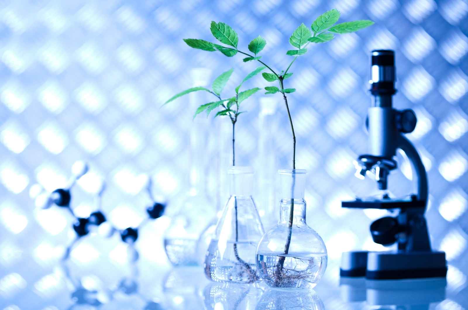 plant phenotyping equipment